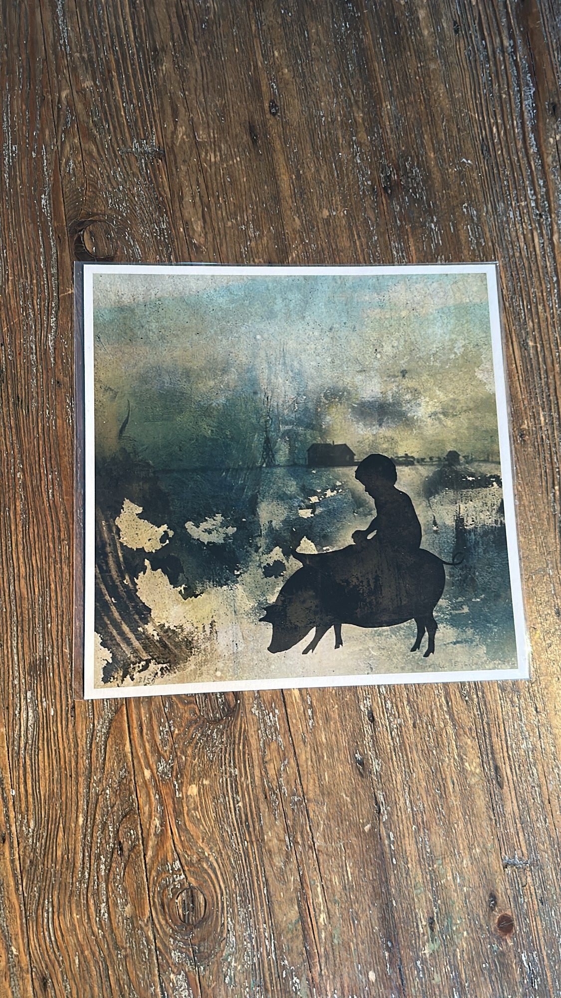 "Pigride", 30 x 30 cm