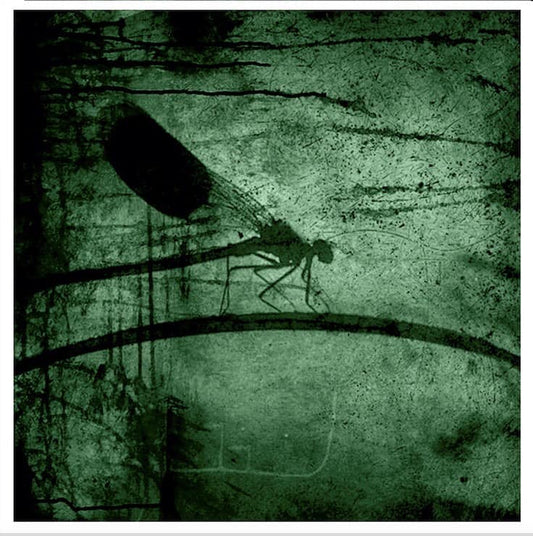 "Dragonfly green" I str 40 x 40 cm