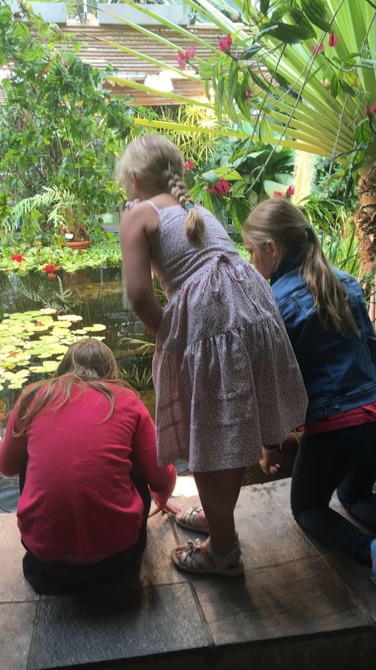 Sommerskole i Gamlebyen – Kreativ uke for barn (9–15 år)